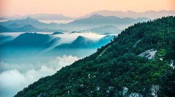 福州鼓山爆料案件最新,惊现神秘失踪事件，真相待解